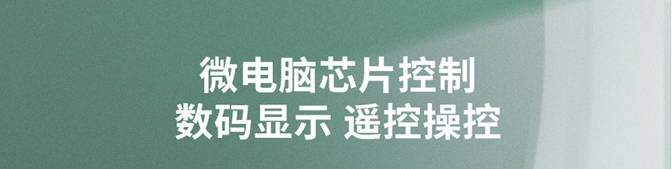 雙工位遙控焊錫煙霧凈化器